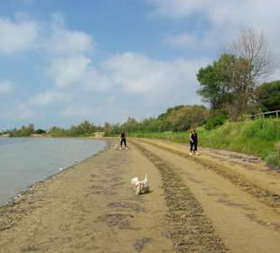 Strand von Bibione 06-2010
