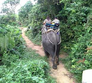 Jazda sloniem na wycieczce fak.