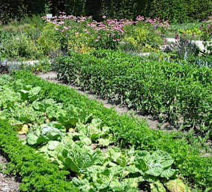 Im Küchengarten des Schlosses Veitshöchheim