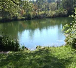 Engelhaldepark