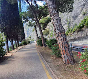 Radfahren Riva del Garda