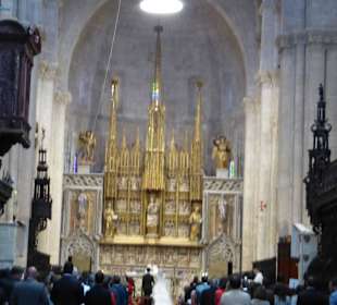 Schöne Stadt Tarragona / Kathedrale