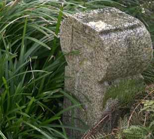 Japangarten Stuttgart