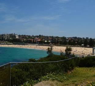 Coogee Beach