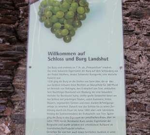 Burg Landshut, Bernkastel