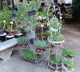 Real Jardín Botánico