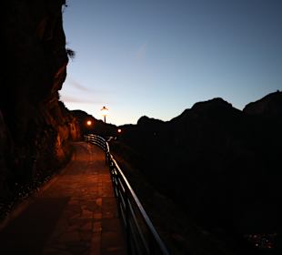 Ausblick