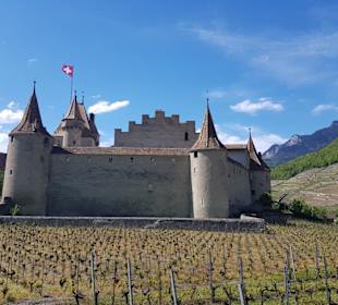 Chateau d'Aigle