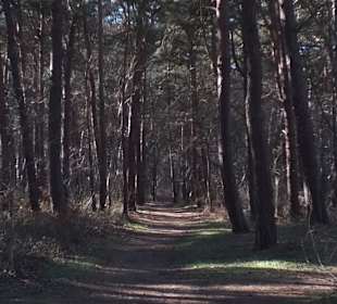 Naturerbe Zentrum Rügen 