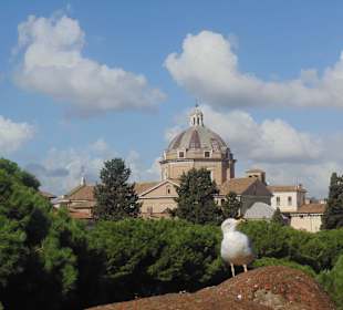 Zwiedzanie miasta Rzym