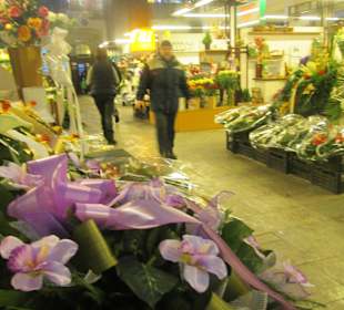 Hala Targowa Wrocław