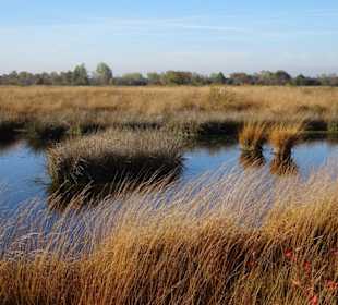 Hochmoorlandschaft um das Ewige Meer