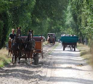 Gegenverkehr