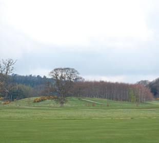 Campo de golf