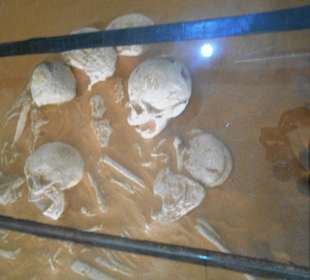 Historisches Museum von Goree