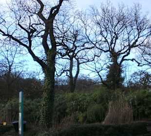 Winterlicher Spaziergang im Duisburger Zoo