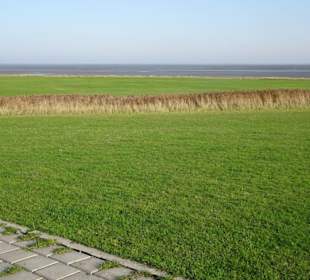 Blick vom Hauptdeich über die Salzwiesen