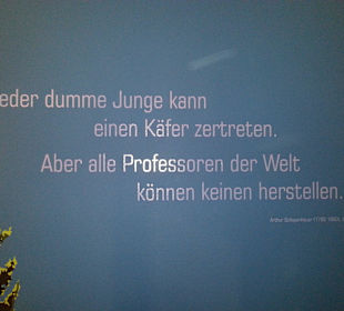......Zitate,Zitate