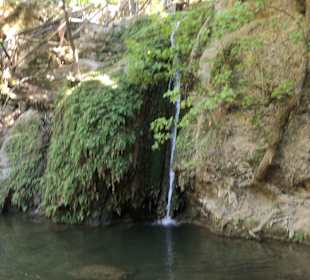 Weg durch das Schmetterlingstal