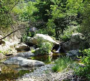 Impressionen von einer Wanderung an der Massane