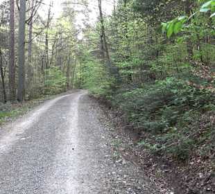 Walderlebnisweg Rottenburg
