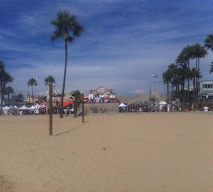 Muscle Beach