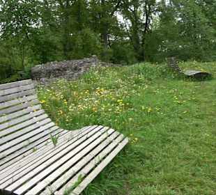 Ruine Burg Kaltenburg
