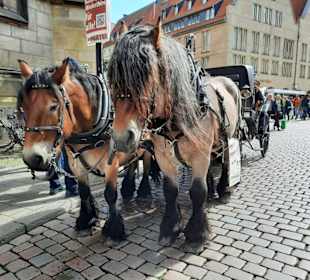 Gemütlich unterwegs 