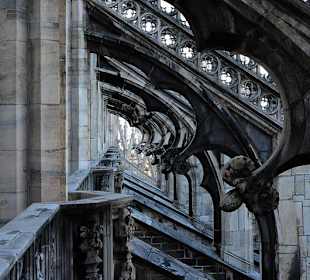 Auf dem Mailänder Dom