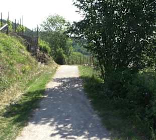 Früchtetrauf - Wurmlinger Kapellenwegle