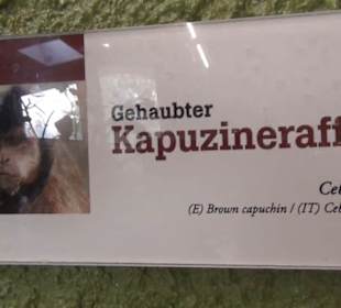 Südamerika Bereich - Südamerikahaus