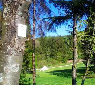 Panoramaweg Sankt Wendeler Land in Nonnweiler