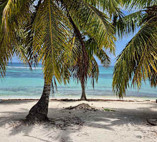 Saona
