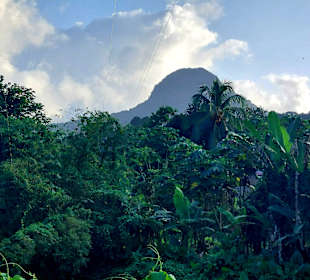 Parque Natural Obô do Príncipe