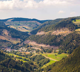 Ausblick