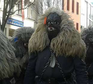 Faschingsumzug 2016