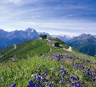 Fulpmes Schlick im Sommer 