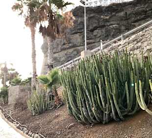 Promenade Puerto Rico