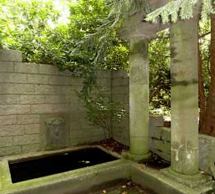 Spaziergang durch Thieles Garten