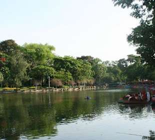 Teich