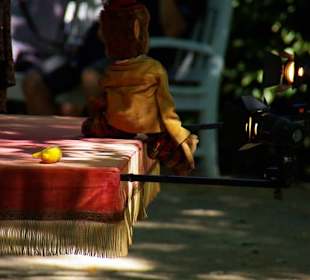 Schöne Vorführungen im Garten