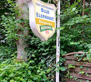 Blue Elephant