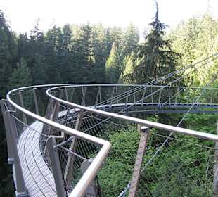 Capilano Suspension Bridge and Park