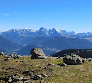 Weg zum Villanderer Berg, gegenüber die Dolomiten