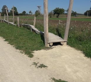 Kelten-Erlebnis-Pfad Erkenbrechtsweiler