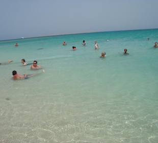 Das Paradies Mahmya Naturschutzgebiet