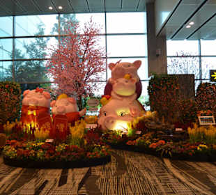 Flughafen Singapur Changi (SIN)