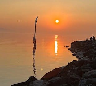 Wandern Vevey