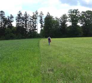 Premiumwanderweg "hochgehackert"