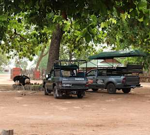 Fathala Wildlife Reserve